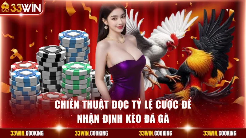 Chiến thuật đọc tỷ lệ cược để nhận định kèo đá gà