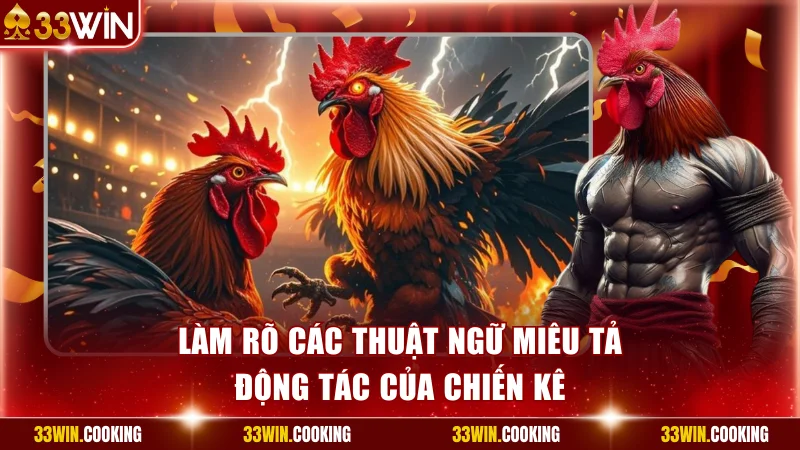 Hướng dẫn hiểu đúng từng lựa chọn cược chọi kê
