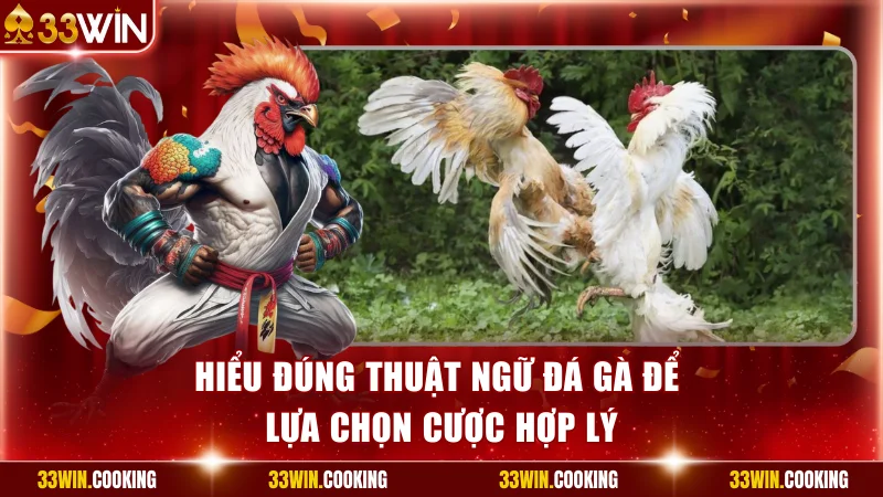 Hiểu rõ thuật ngữ đá gà giúp bạn đưa ra quyết định chính xác