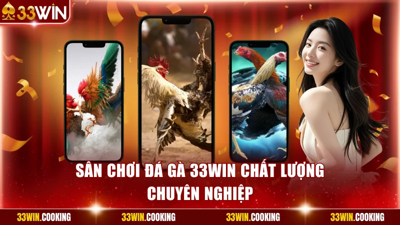 Sân chơi Đá gà 33win chất lượng chuyên nghiệp
